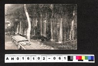 藏品(〔陳廷祥先生收藏系列〕：昭和年間明信片簿(二)1939年6月26日臺北市〇內埔寄臺中州南投郡洪火煉白)的圖片